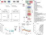 Learning the natural history of human disease with generative transformers