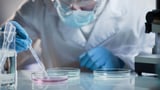 Scientists unveil first AI-designed virus