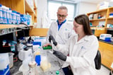 An FDA-approved drug halts Epstein-Barr virus-driven lymphoma by disrupting a key cancer pathway