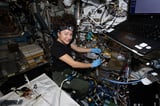NASA’s Quantum Lab Aboard Space Station Gets Chilly Upgrade - NASA