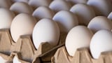 ‘Cartel’: Huge claim against Aus egg sellers