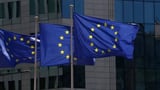India reserves third-party rights in Russia-EU CBAM WTO dispute