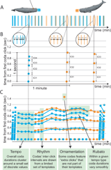 Contextual and combinatorial structure in sperm whale vocalisations