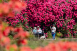 UK sees warmest May – and spring – on record, Met Office figures show