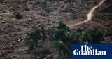‘Planetary boundaries’ necessary for flourishing of life have been massively breached, scientists warn