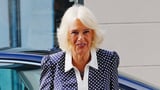Queen Camilla cuts a stylish figure in polka dot gown as she marks 25 years of disaster relief charity during visit to Cornwall