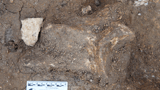 2.6 million-year-old stone tools reveal ancient human relatives were 'forward planning' 600,000 years earlier&hellip;