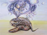 Senescence uncovered: Scientists find worms can mimic mammalian cell aging process