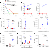 Respiratory immunization using antibiotic-inactivated Bordetella pertussis confers T cell-mediated protection against nasal infection in mice
