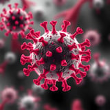 New Study Identifies Key Cell Proteins Fueling Severe Viral Infections