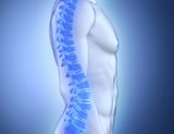 Experimental cancer drug could protect against osteoporosis and weight gain