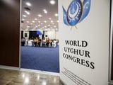 World Uyghur Congress urges European insurers to reassess ties with Hikvision and Dahua over human rights and cybersecurity concerns