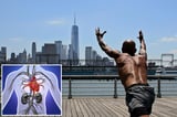 Here's why you want to stress less, exercise more: study