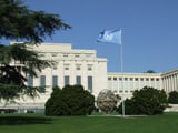 UNECE Backs UN's AI Push for Social Progress