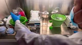 Duke HIV scientist searches for funds after Trump ends landmark vaccine program