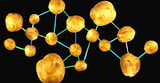Remarkable News in Potatoes: They Evolved From Tomatoes
