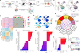 Targeting ZMYND8 unleashes IL-2 signalling to override T cell exhaustion
