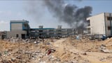 Israeli army used new AI system to carry out strikes in Gaza, says report