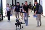 As AI races ahead, China bets on a people-centered digital future