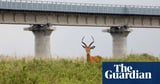 Biodiversity loss in all species and every ecosystem linked to humans – report