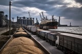 Black Sea Wheat Crisis Threatens Global Food Supply