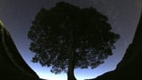 Britain's famous Sycamore Gap tree is gone. 2 men accused of cutting it down are going on trial