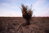 Texas firefighters completely contain Panhandle inferno that burned more than 1 million acres