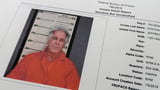 US govt watchdog to review release of Epstein files