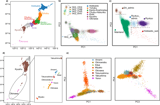 Genetic legacy of ancient hunter-gatherer Jomon in Japanese populations