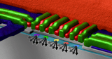 Riken Institute’s Work Scales Up Silicon-based Quantum Processors
