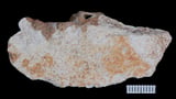 Cave fossils in China reveal lives of mysterious human relatives