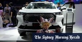 These affordable EVs are set to rule the roads – and they are all from the same place