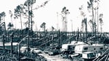 37 years after Hurricane Hugo hit, the Lowcountry remembers it as a historic storm