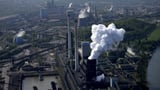 Germany factory output lowest since pandemic in 2020 | Business