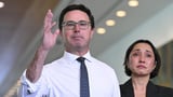 Nats leadership hopefuls revealed