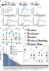 A molecular toolkit for heterologous protein secretion across Bacteroides species