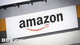 European parliament revokes Amazon lobbyist passes