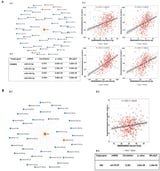 Modulation of the Oncogenic LINE-1 Regulatory Network in Non-Small Cell Lung Cancer by Exosomal miRNAs