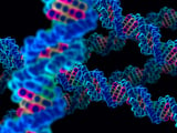 Researchers solve the mystery of 50,000 DNA "knots" in the human genome