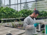 8 AI Players to Watch in Crop Breeding