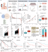 FAM50A promotes esophageal squamous cell carcinoma progression via splicing-dependent oncogenic circSDK1- and DUSP22-mediated MAPK/FAK activation