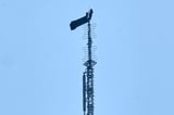 2 arrested after hanging banner on Empire State Building antenna | AP News