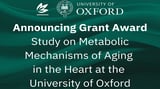 Grant Awarded for Heart Aging at the University of Oxford