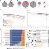 Bat genomes illuminate adaptations to viral tolerance and disease resistance