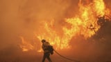 Trump administration reports on climate change filled with errors, say scientists | AP News