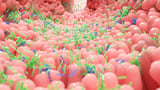 Newly Discovered Gut ‘Sense’ Could Change How We Think About Hunger and Health