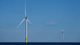 Trump administration cancels plans to develop new offshore wind projects