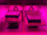 NASA Sends More Science to Space, More Strides for Future Exploration - NASA Science