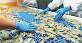 India's shrimp exports expected to fall 15-18% as US hikes tariff: Crisil