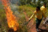 In Brazil’s Cerrado region, Indigenous fire practices reshape wildfire strategy